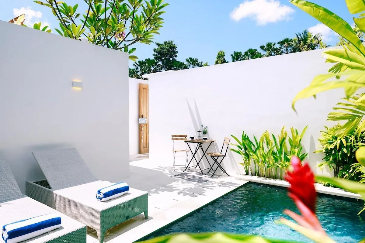 Abby May - Top Location Near Potato Head, Walk Everywhere! Seminyak