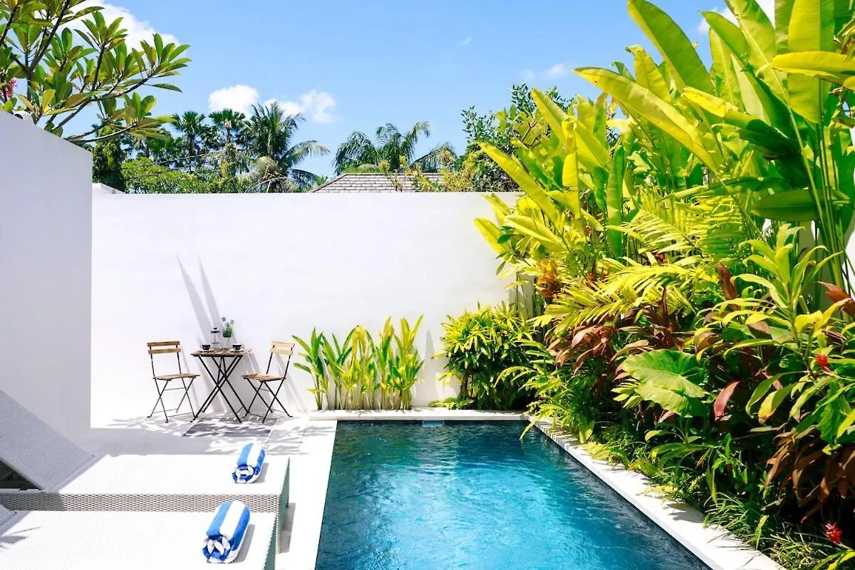 Abby May - Top Location Near Potato Head, Walk Everywhere! Seminyak  Indonesia